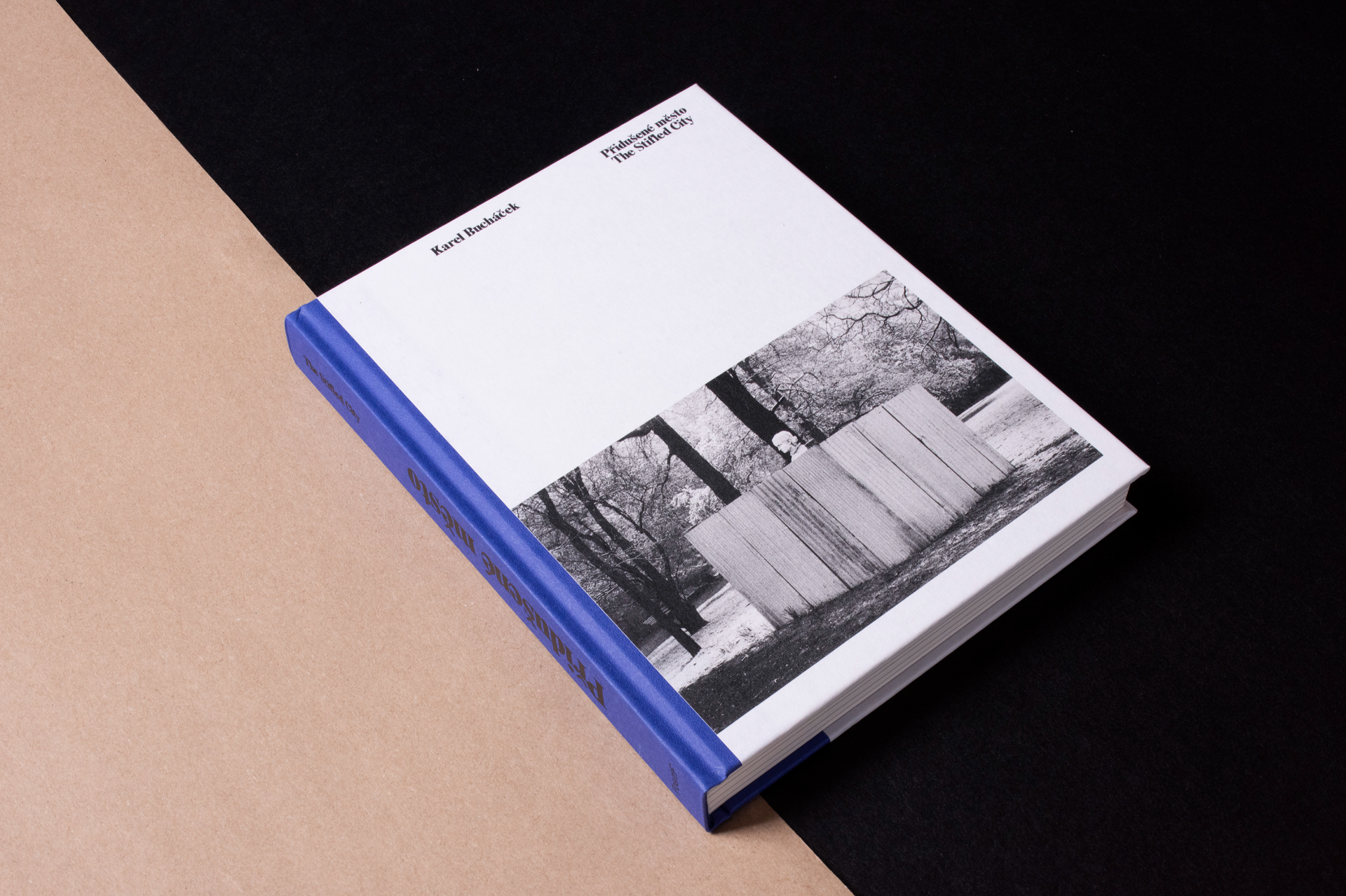 Fotografie Žižkova pro Asistenci 13