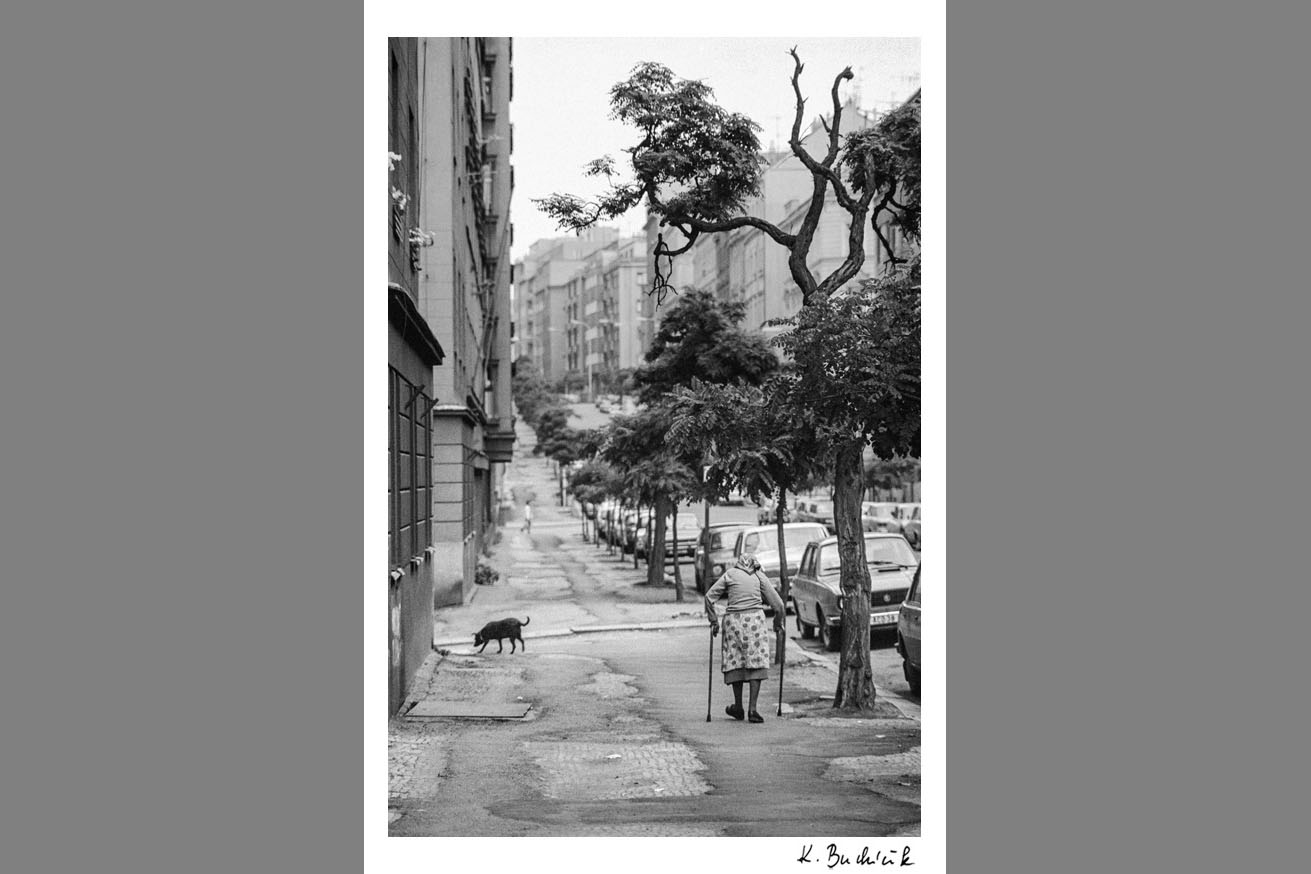 Fotografie Žižkova pro Asistenci 6