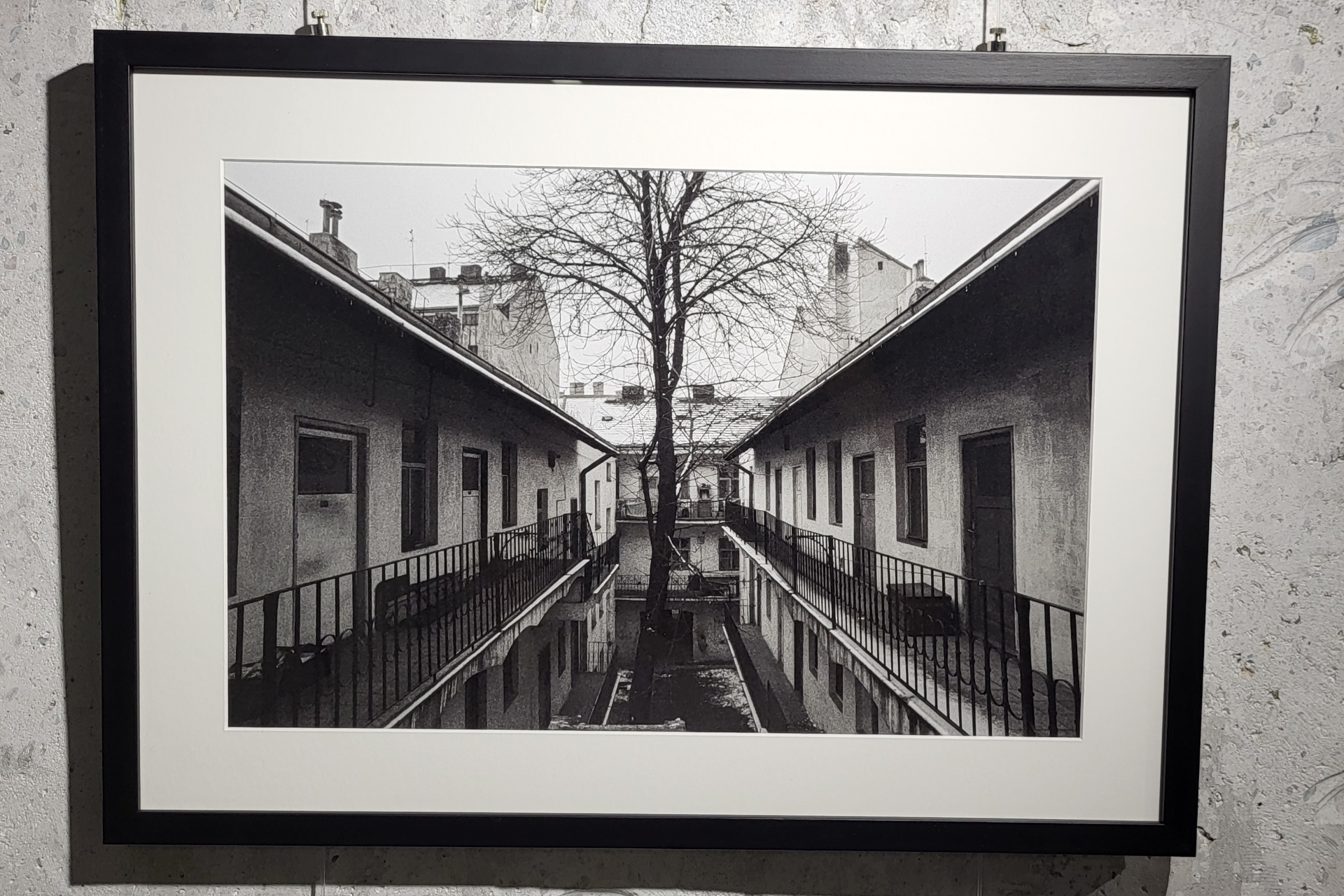 Fotografie Žižkova pro Asistenci 4