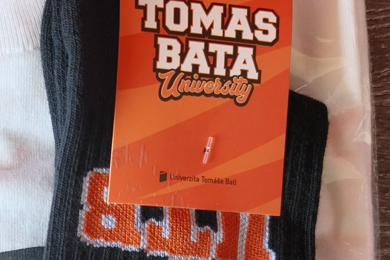 Domácí dort + bonus