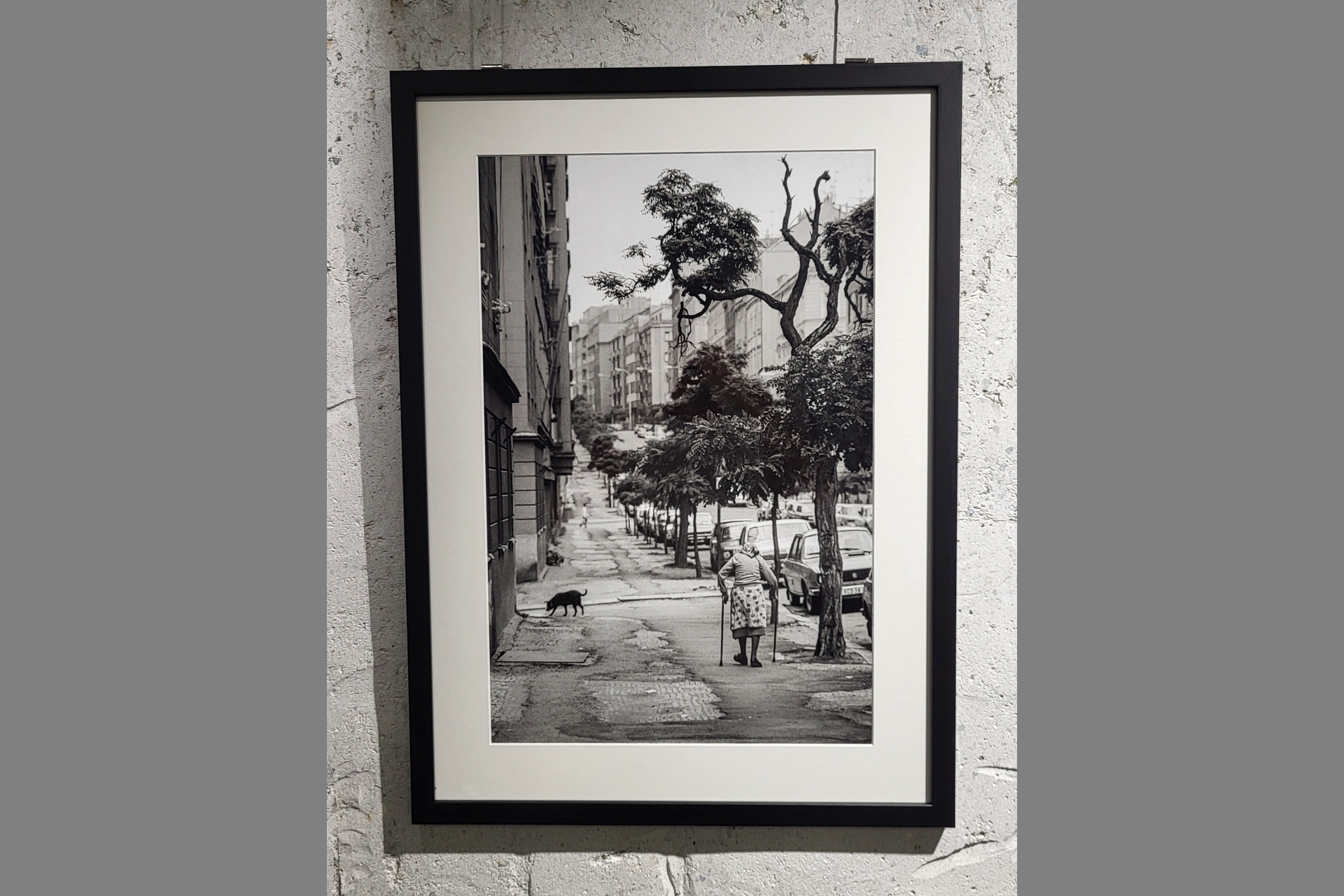 Fotografie Žižkova pro Asistenci 6