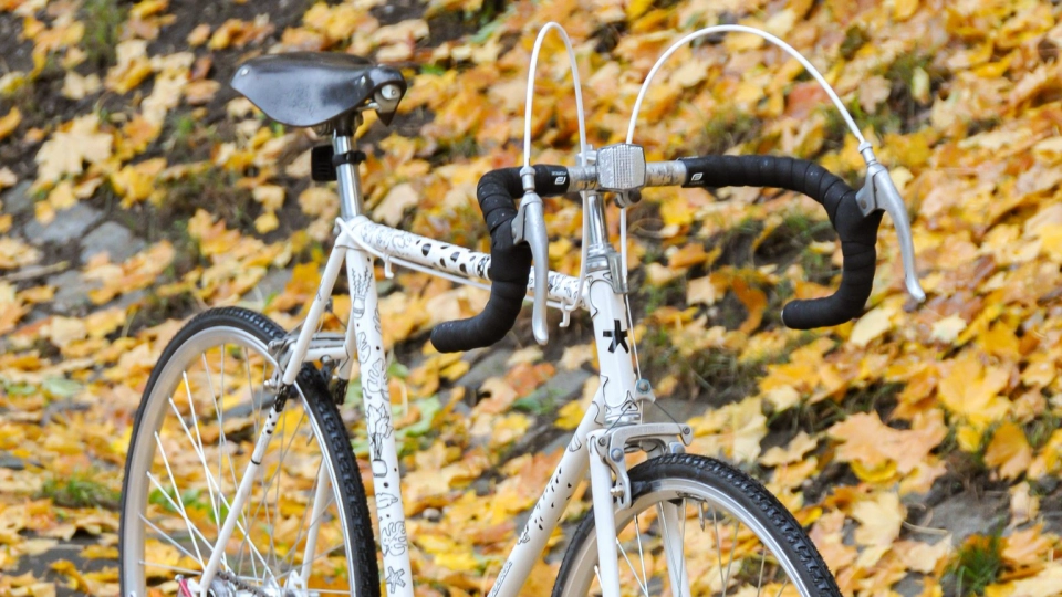  Bike "Star for AutoMat"