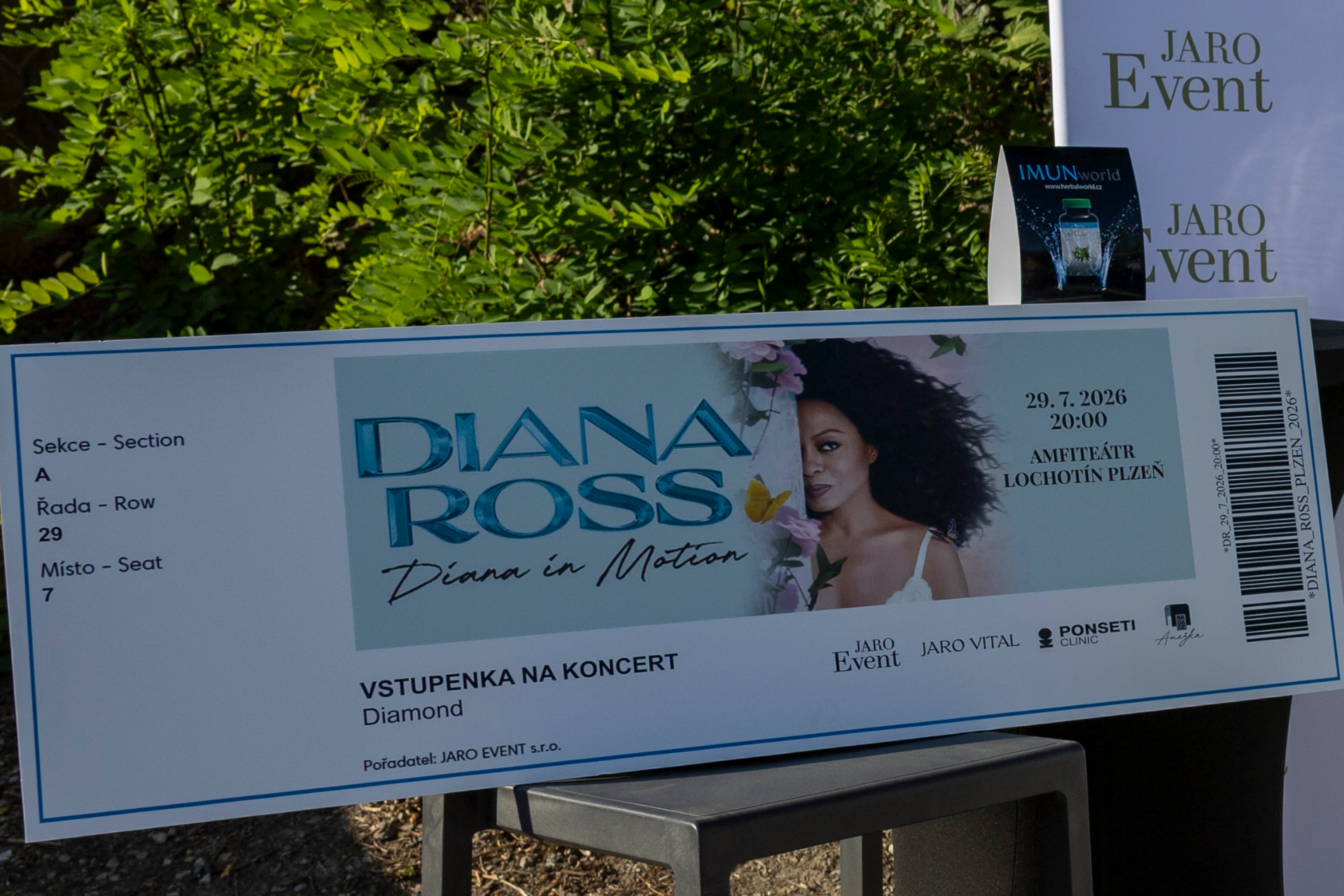Diana Ross | More Than Auction