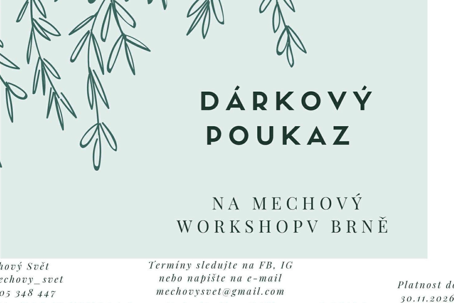 Workshop - výroba mechového obrazu