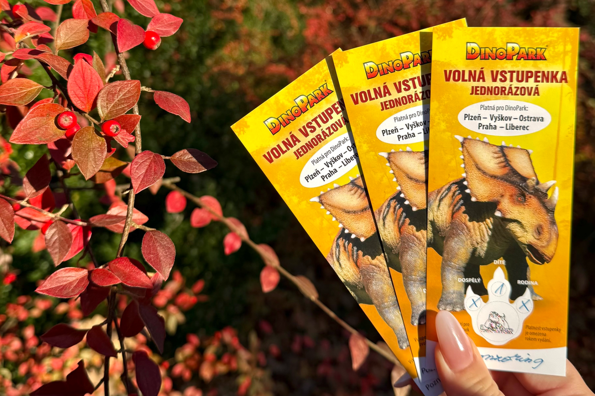 3 Dětské vstupenky do DinoParku