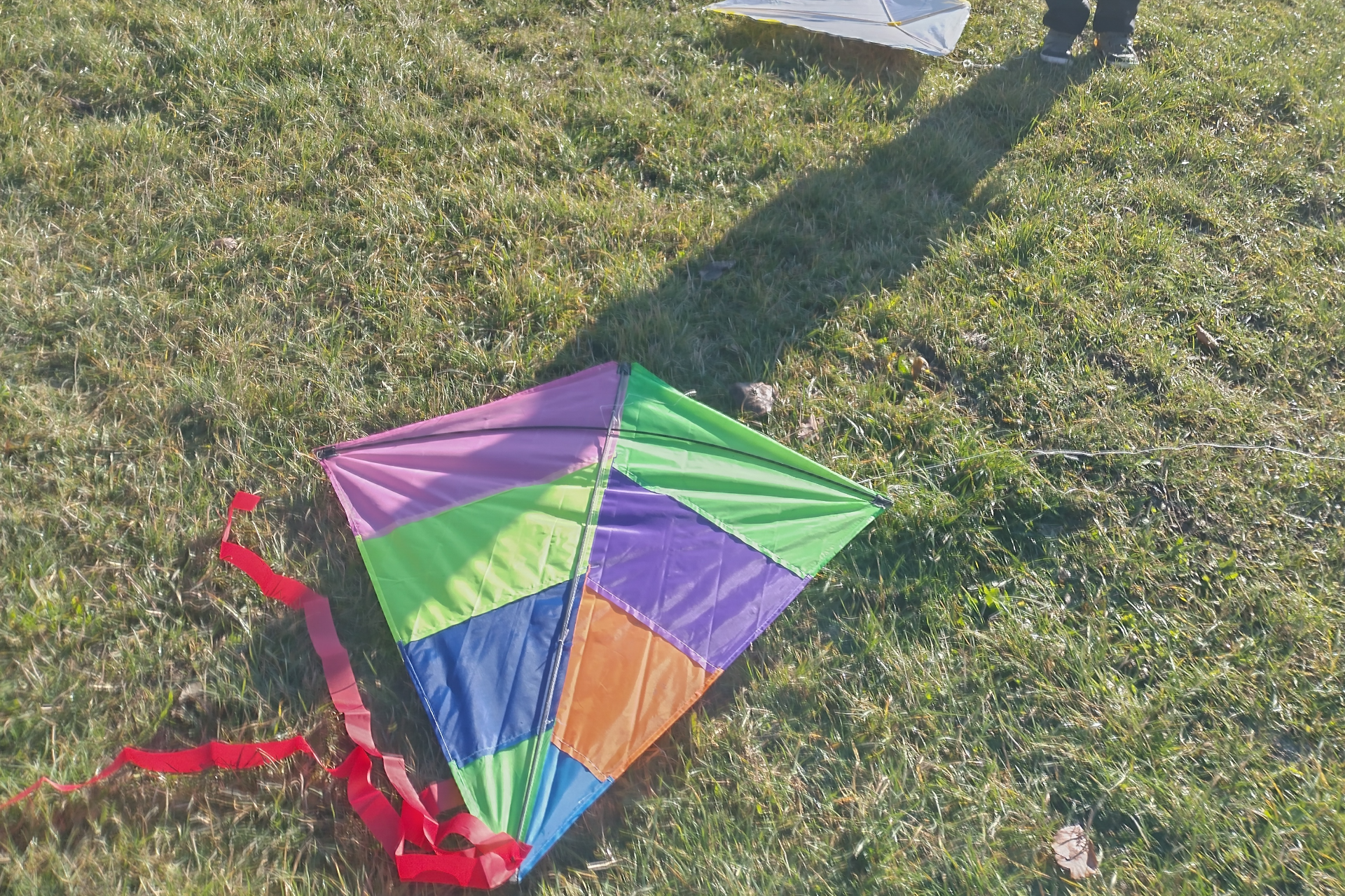 Dobrodrak Jabloňák