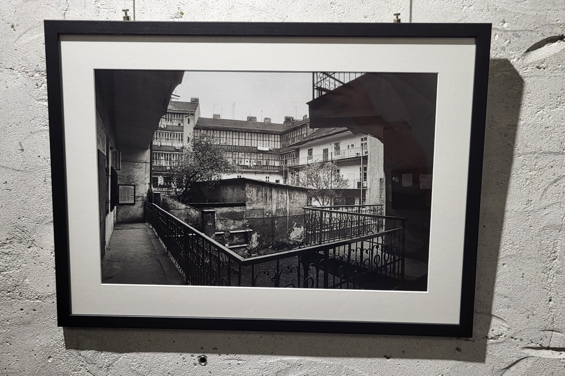 Fotografie Žižkova pro Asistenci 9