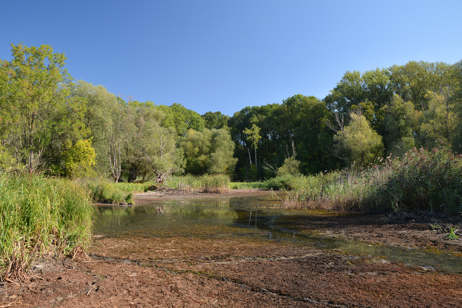 Křivé jezero: exkluzivní prohlídka 