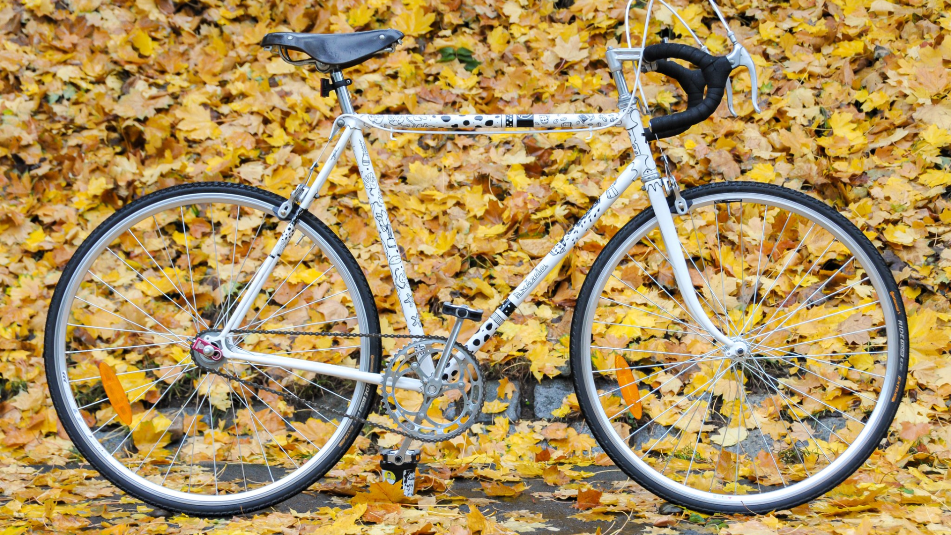  Bike "Star for AutoMat"