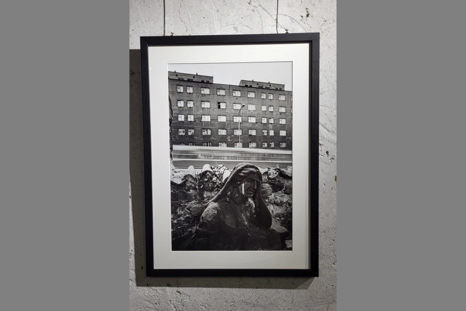 Fotografie Žižkova pro Asistenci 1