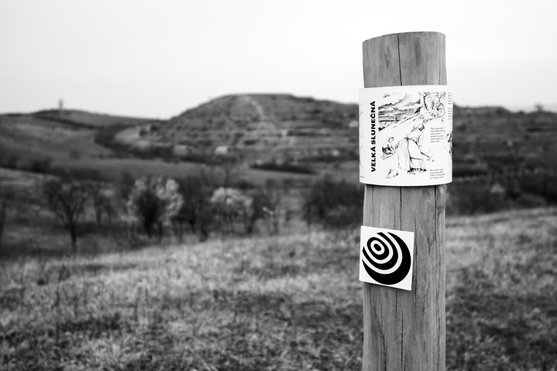 Dunajovické kopce s Helenou Chytrou