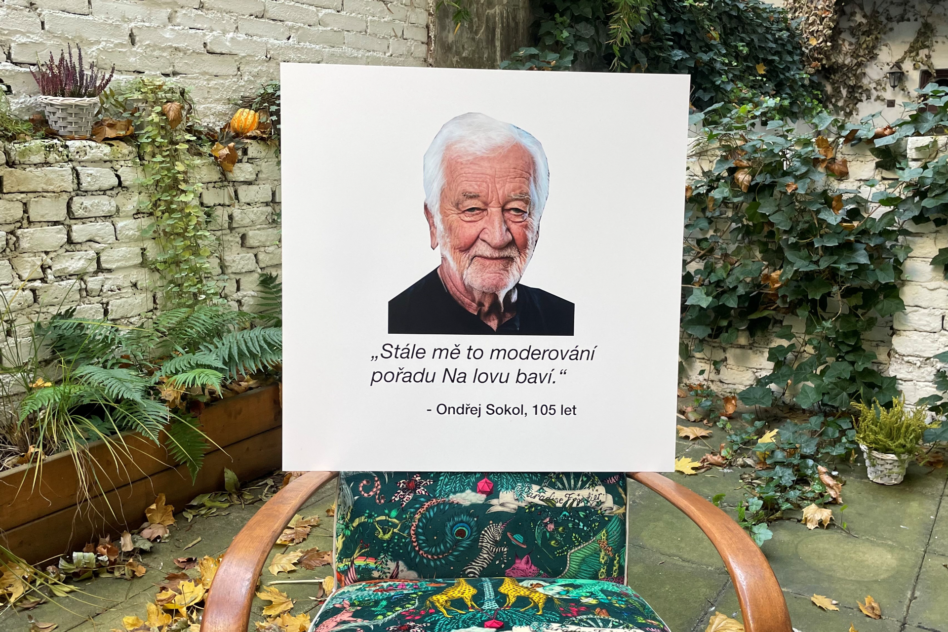 NA LOVU: OBRAZ TMBK ONDŘEJ SOKOL