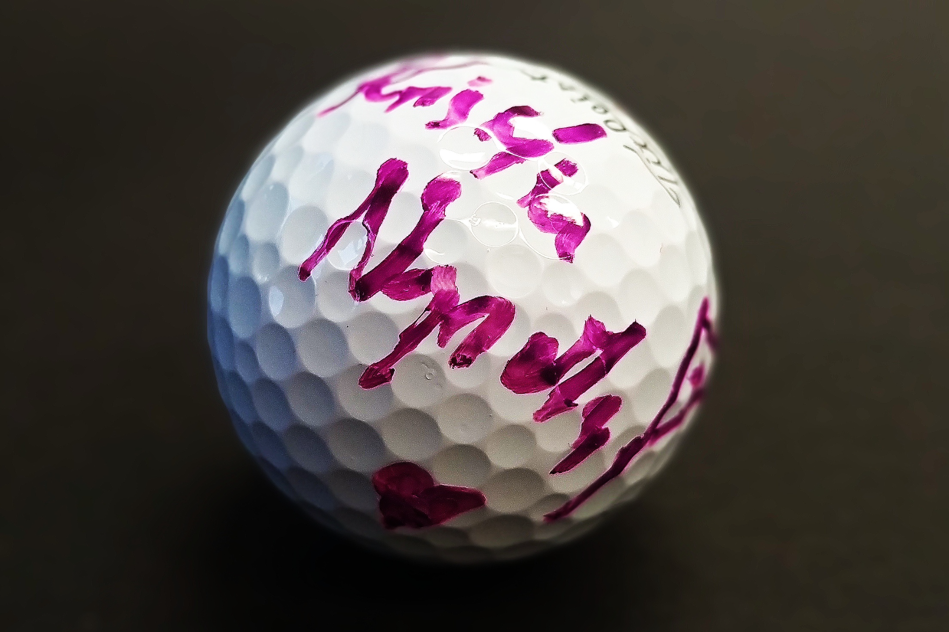 Na golfový green s mistryní