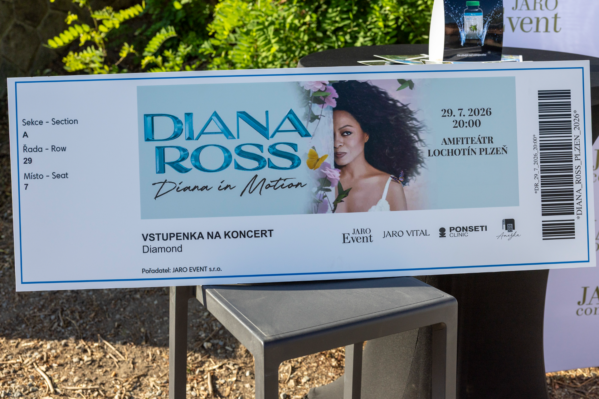 Diana Ross | More Than Auction