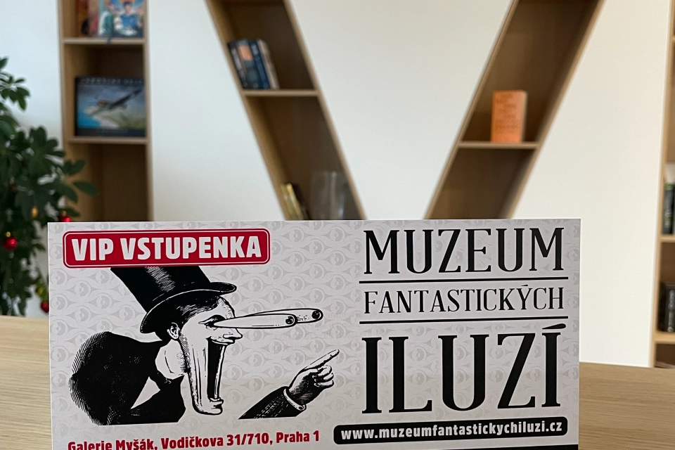 Aukce na podporu dětí: Fantasy 