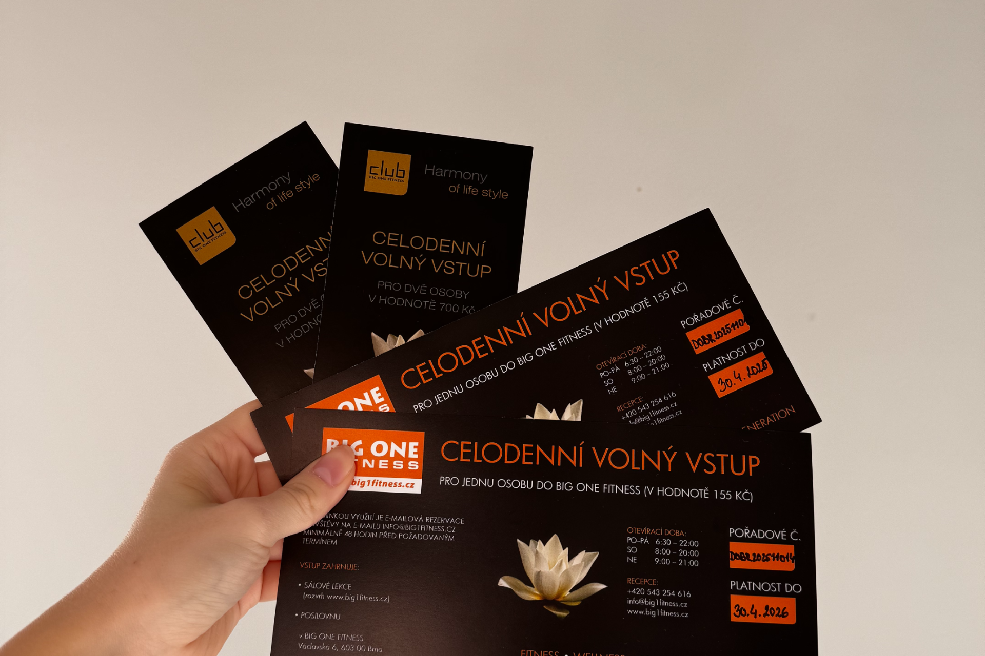 Big One fitness – krok k formě