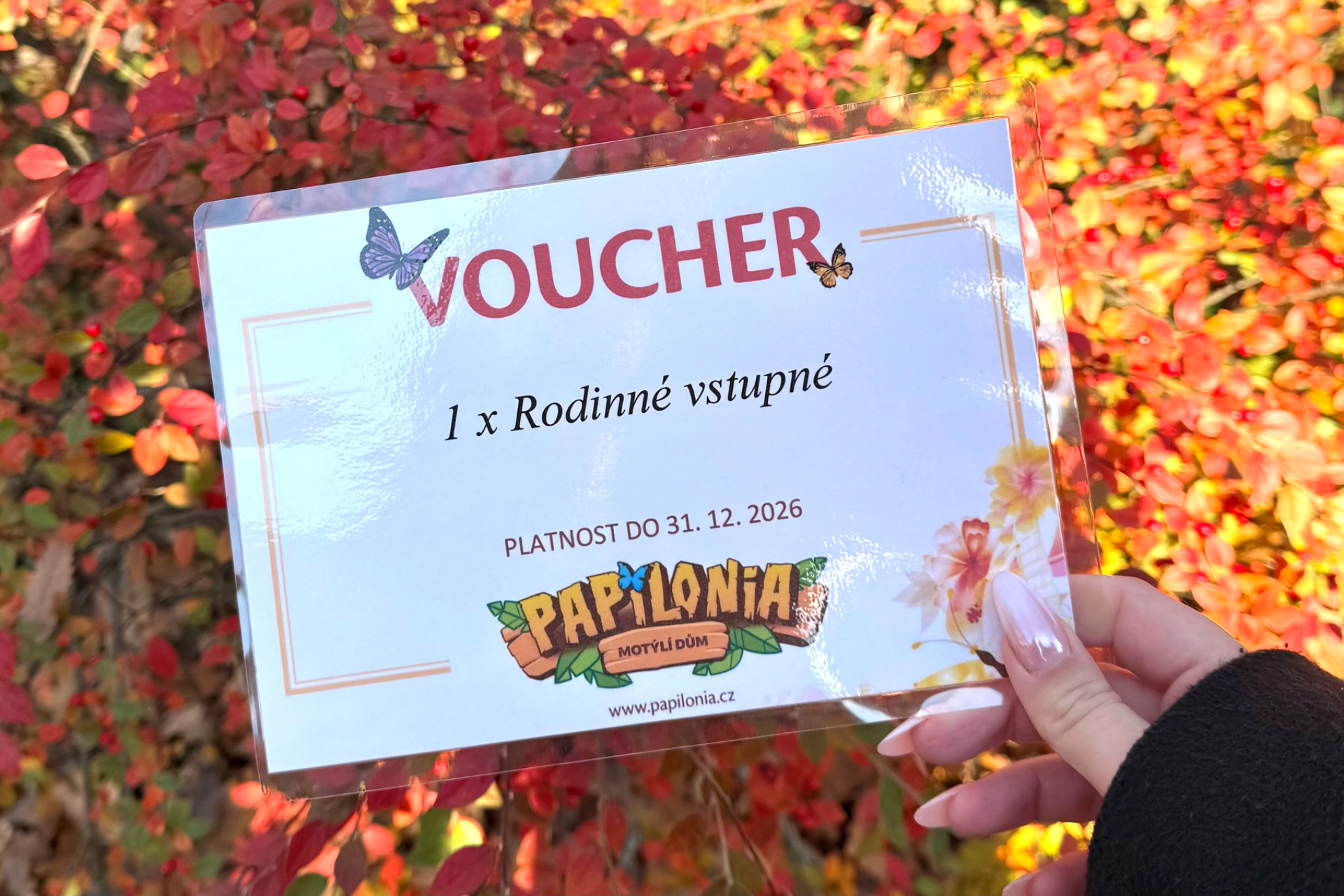 Papilonia - rodinné vstupné