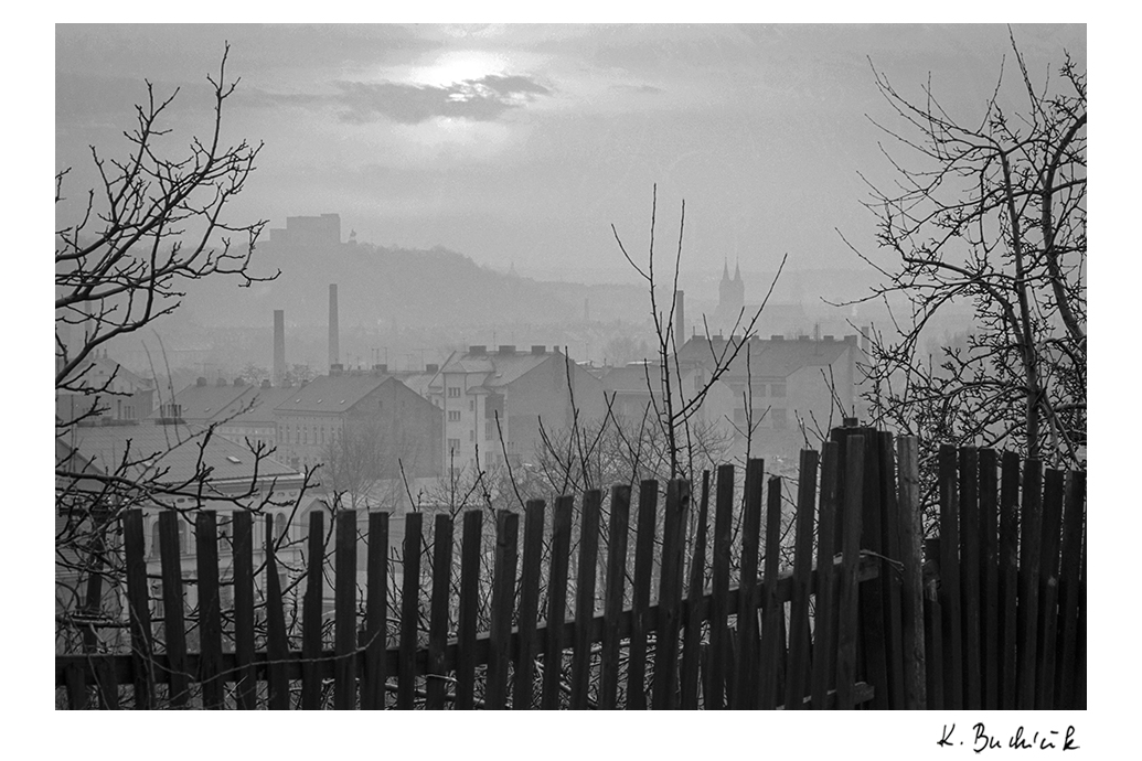 Fotografie Žižkova pro Asistenci 12