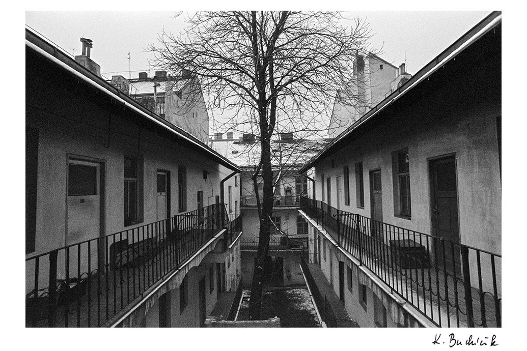 Fotografie Žižkova pro Asistenci 4
