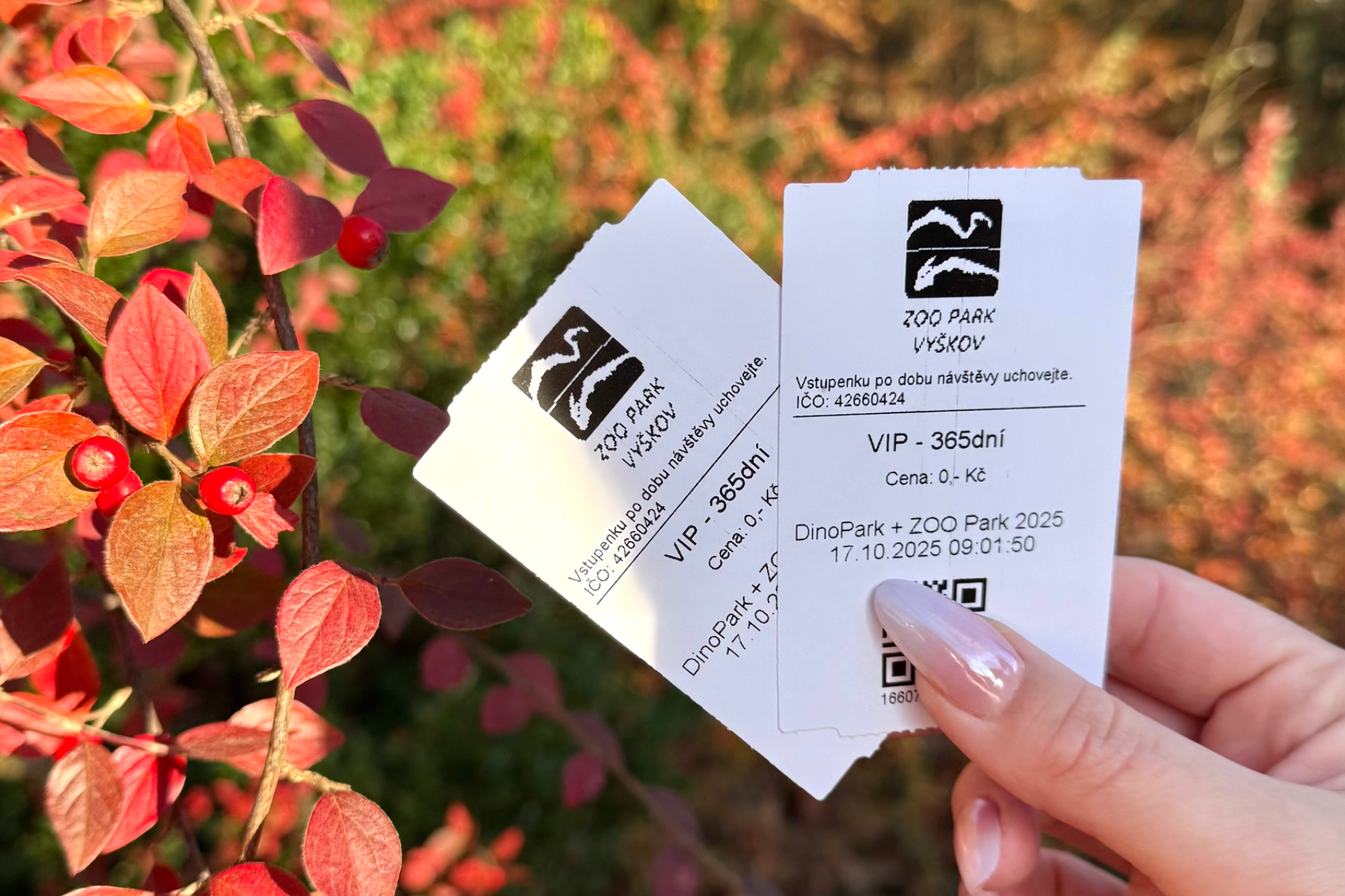 2 VIP vstupenky ZOO+DinoPark Vyškov