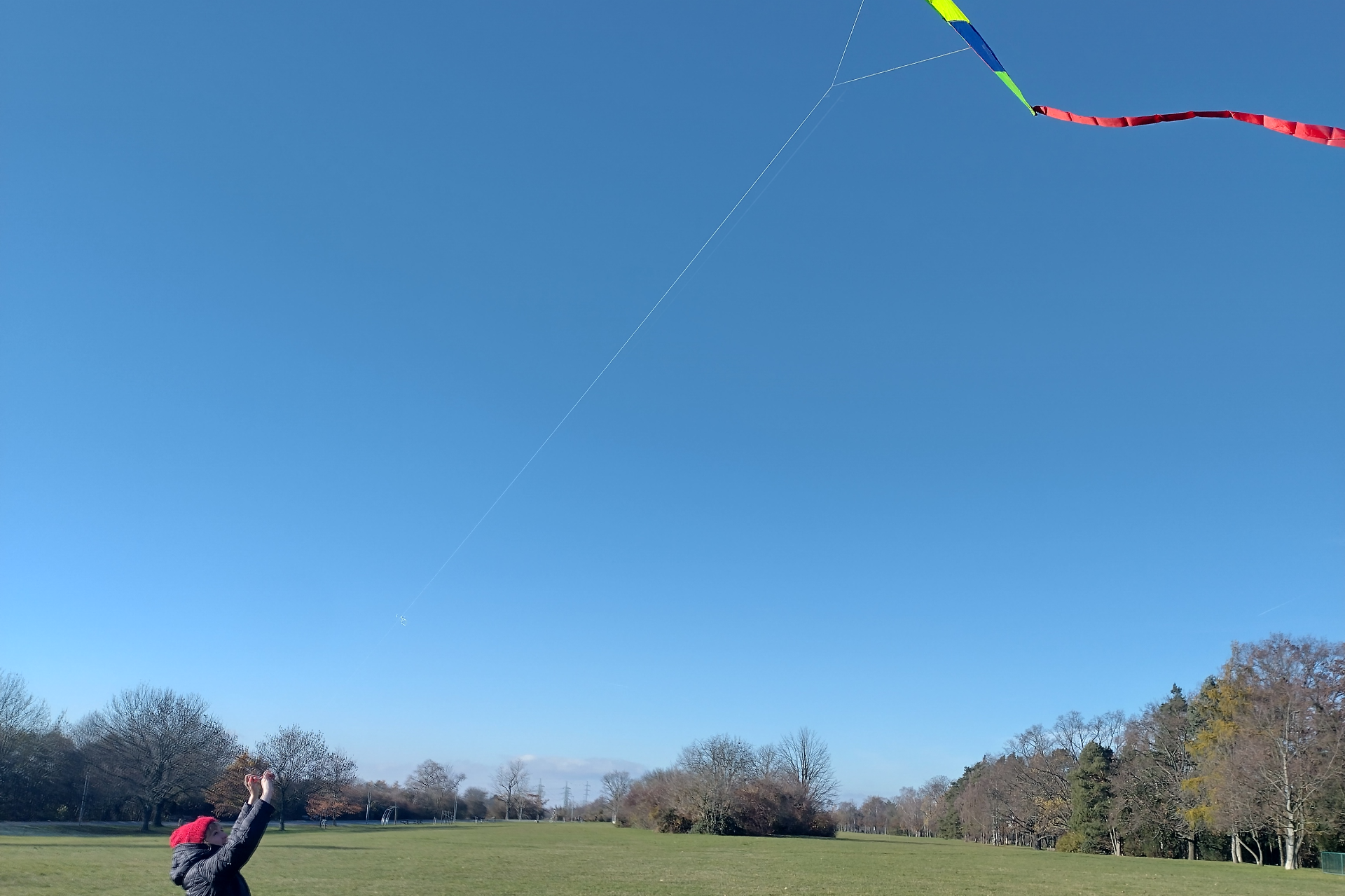 Dobrodrak Jabloňák