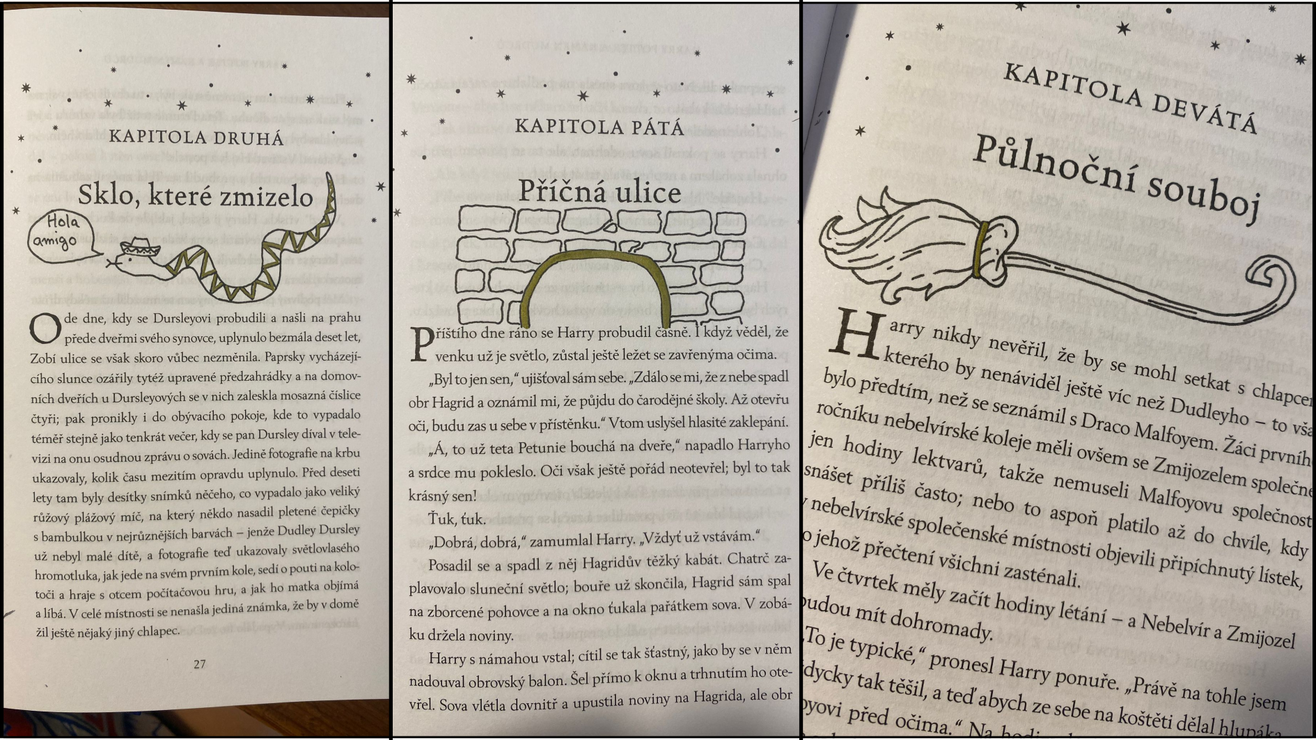 Anotace k HP 1: Neplecha ukončena