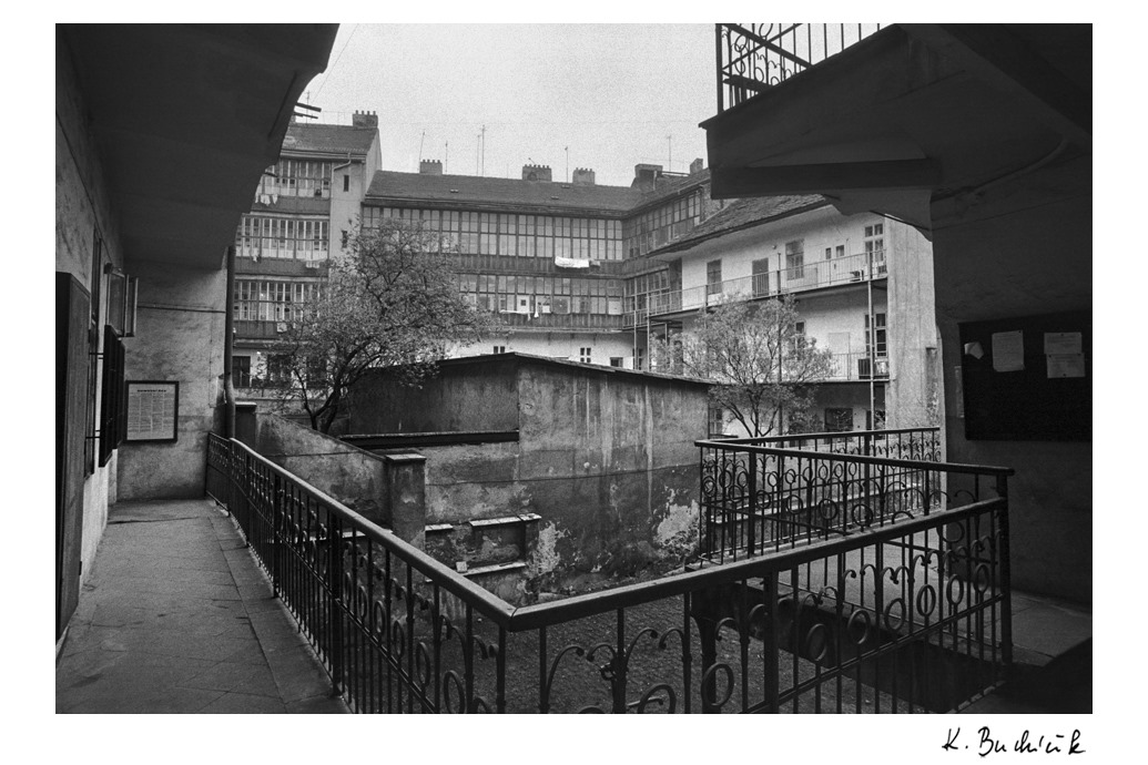 Fotografie Žižkova pro Asistenci 9